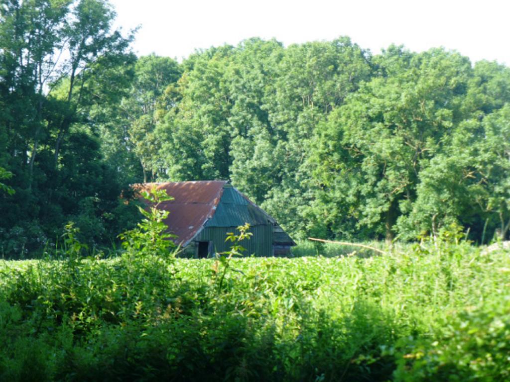Lutje Hoeske Tinallinge Exterior photo